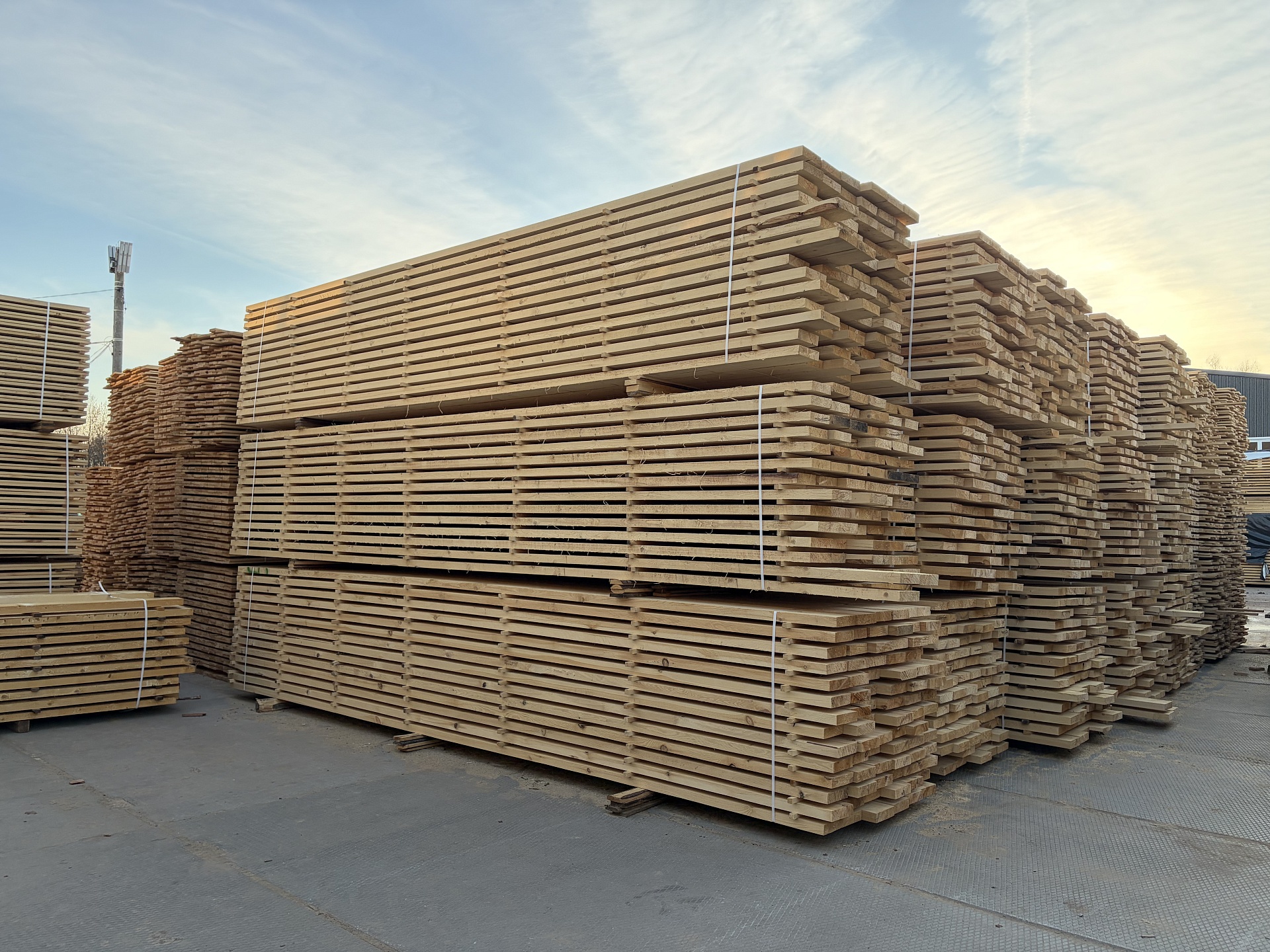 Доска сухая, камерной сушки